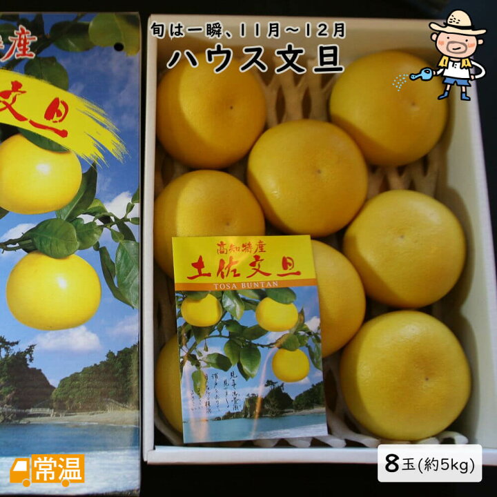 2023年上半期の運勢 2023年２月４日〜2023年７月31日- 水晶玉子先生のフルーツ・フォーチュン 半期占いSPUR