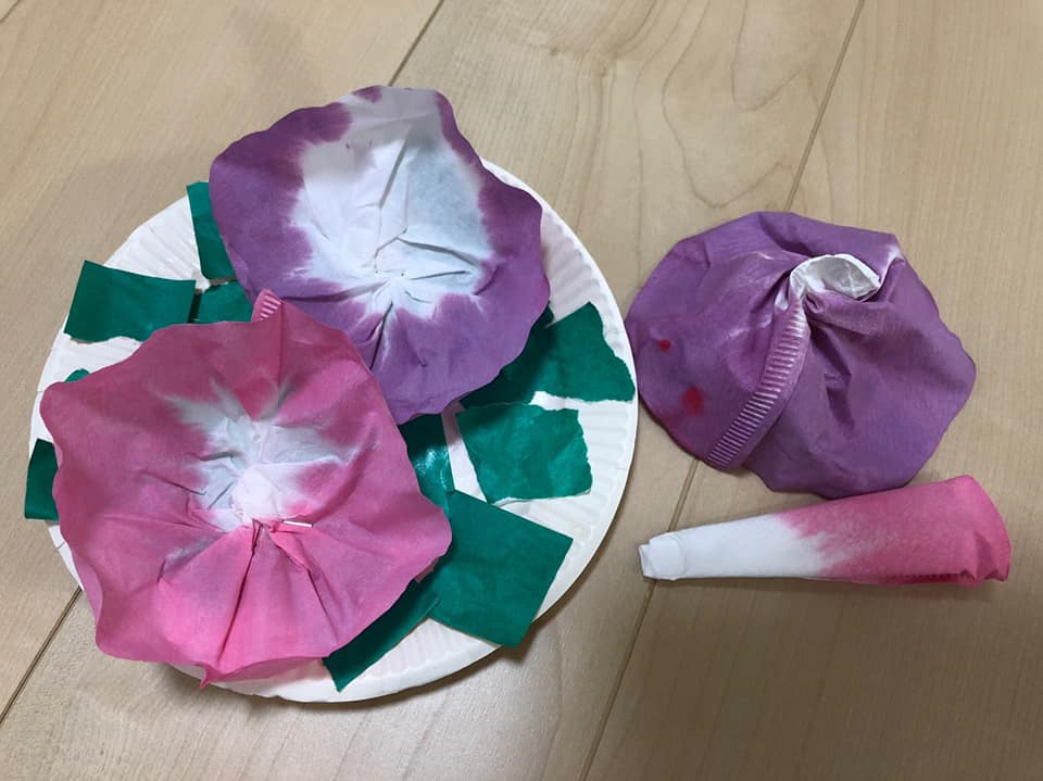 Ｖレンジャー第六回 コーヒーフィルターであさがおをつくろう