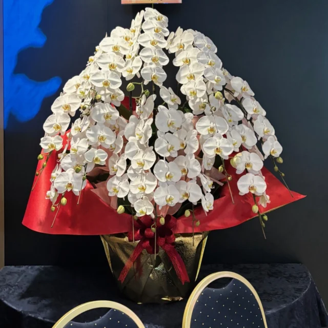 ソーセージの木 ソーセージノキ のまとめ！ 原産地や花言葉等6個のポイント！植物の育て方や豆知識をお伝えするサイト