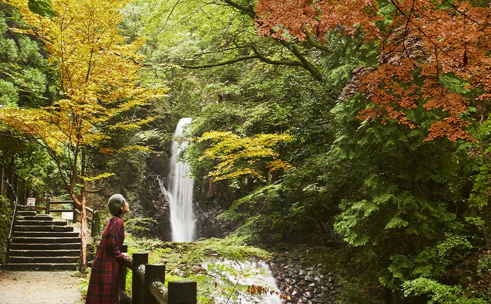 リラクゼーションラウンジからの 紅葉も美しく紅く染まっております。 五感に響くトリートメントをぜひご堪能くださいませ。 The