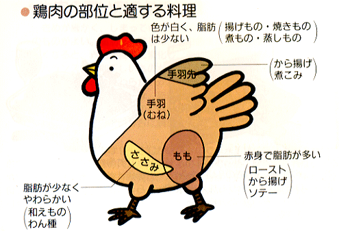 ふるさと納税6回定期便 肥後のうまか 赤鶏 ササミ 約3kg やまうちフード株式会社 熊本営業所ZAB010定期 6ヶ月 鶏 とり肉 鳥産地 国産 国産鶏 冷凍 大容量 ヘルシー 部位 贈り物 家庭用 人気 高たんぱく 受賞 ランキング レビュー 評価 産地直送 山鹿 楽天市場