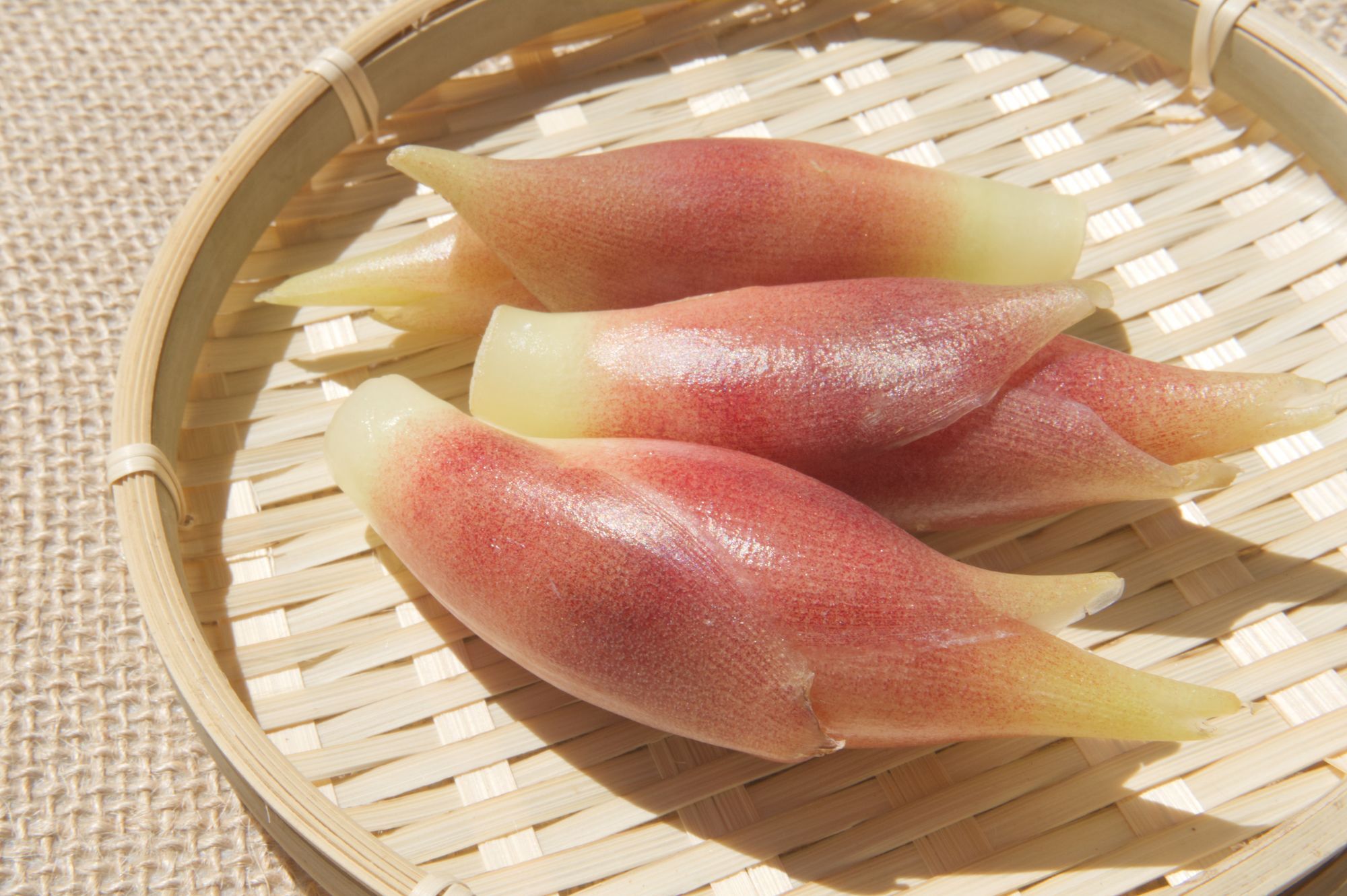 みょうがの植え替え時期は・3月中に植え替えてます