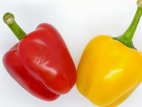 赤・黄・橙 カラフルなパプリカ、色によって栄養に違いがある