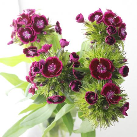 ボルドーカラーのウォーターアレンジ ドロップ型 マジカルウォーター 癒し フェイクウォーター 誕生日 プレゼント アートフラワー UNDERBAR_7通販 14598689Creema クリーマ