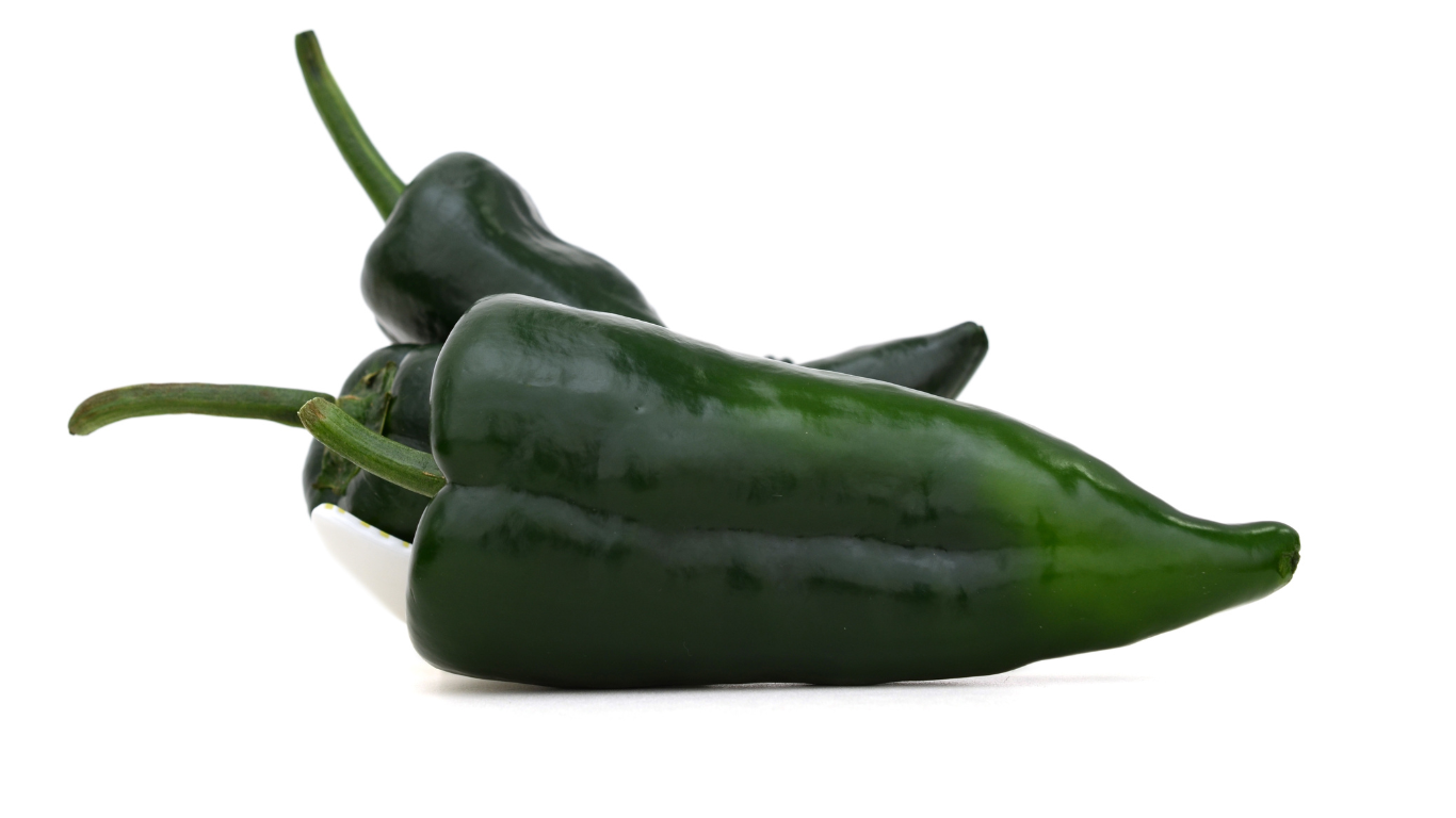 メキシコ伝統料理を堪能しよう！食文化の旅①唐辛子 チレ 編メキシコ観光 PASELAメキシコ・中米方面専門の旅行会社