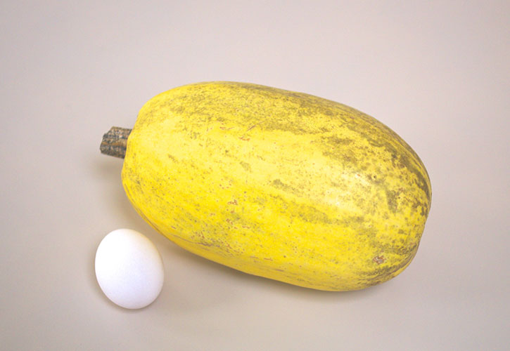 そうめんかぼちゃの中華炒め