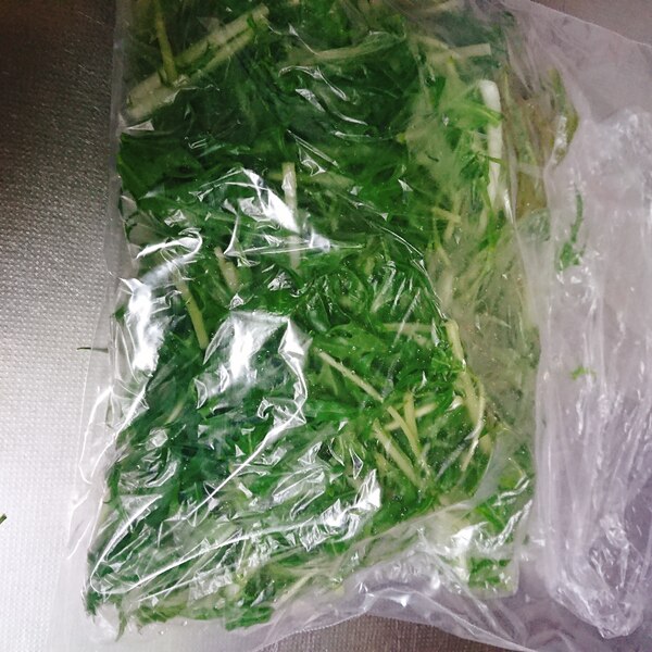 料理の基本！ 水菜の冷凍保存方法