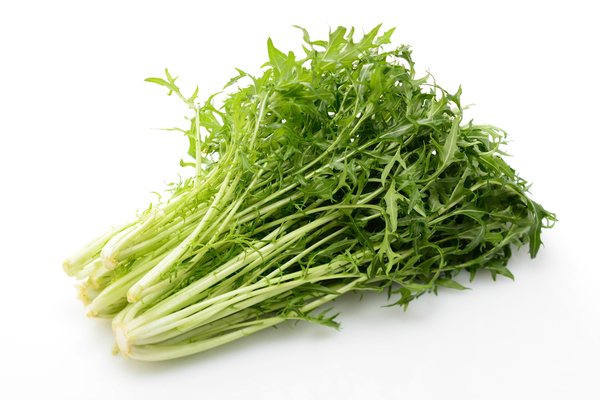 菜っ葉」 なっぱ の意味