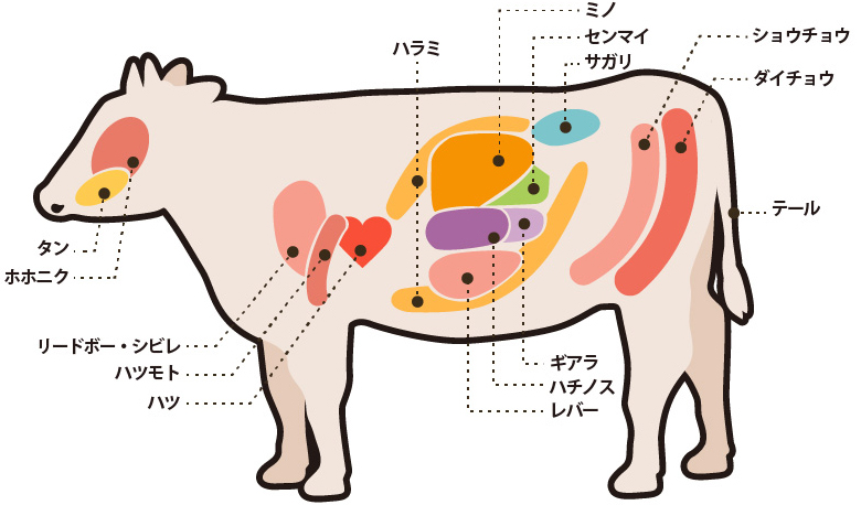 食べ物によって太る部位が違う！?トレーナーなしでセルフケアをするノウハウ等をパーソナルトレーニングをWorkout Red'sが仙台で