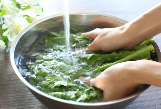 「香りとほろ苦さがおいしい！春菊のおひたし」