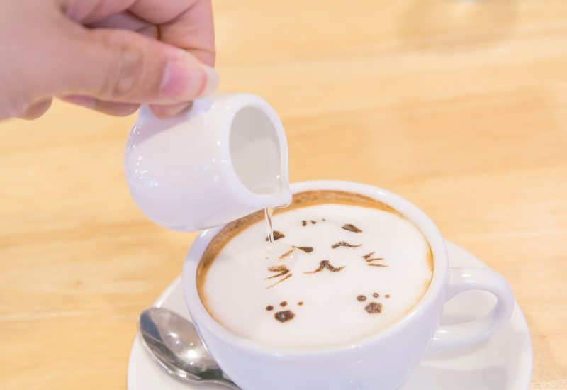 ガムシロップ 13g×50個 ポーションタイプ