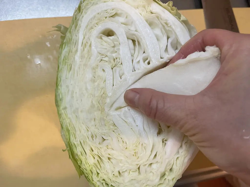 無限シリーズ 5分で完成！旨辛みそのツナキャベツ