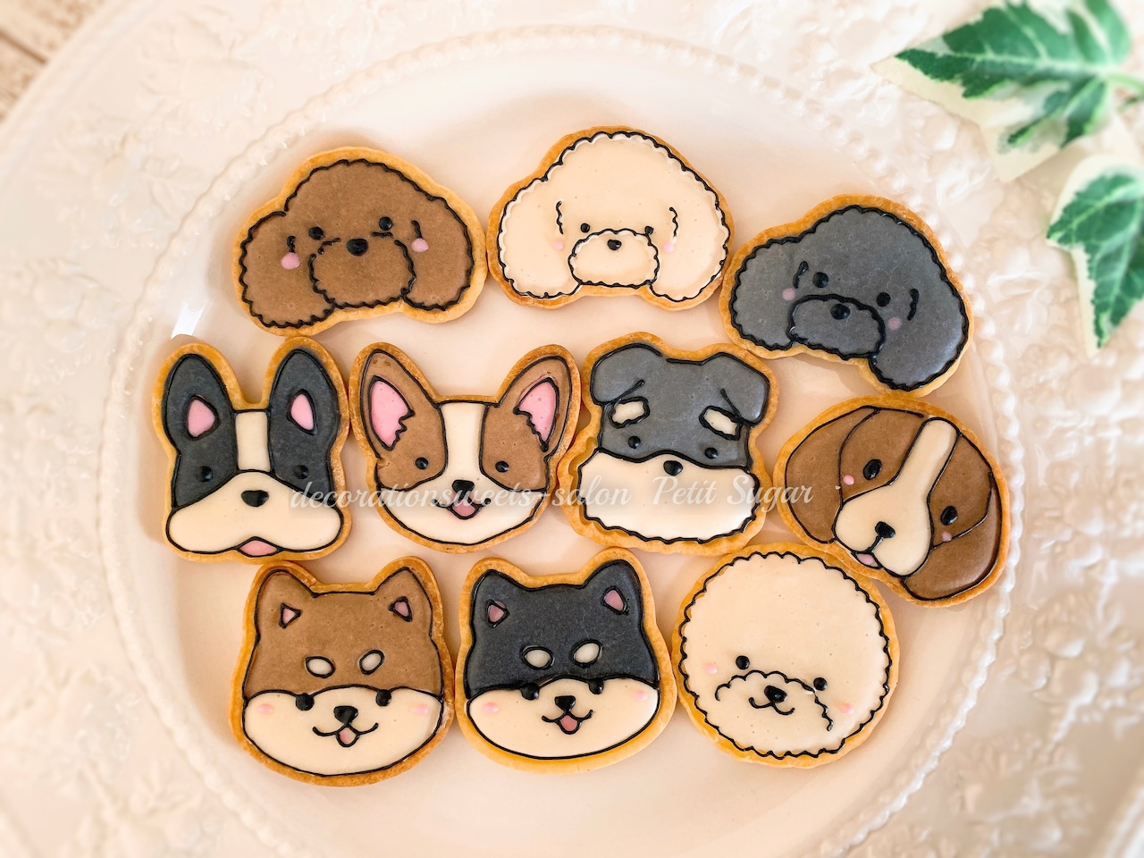 ワンちゃんのクッキー缶 犬図鑑