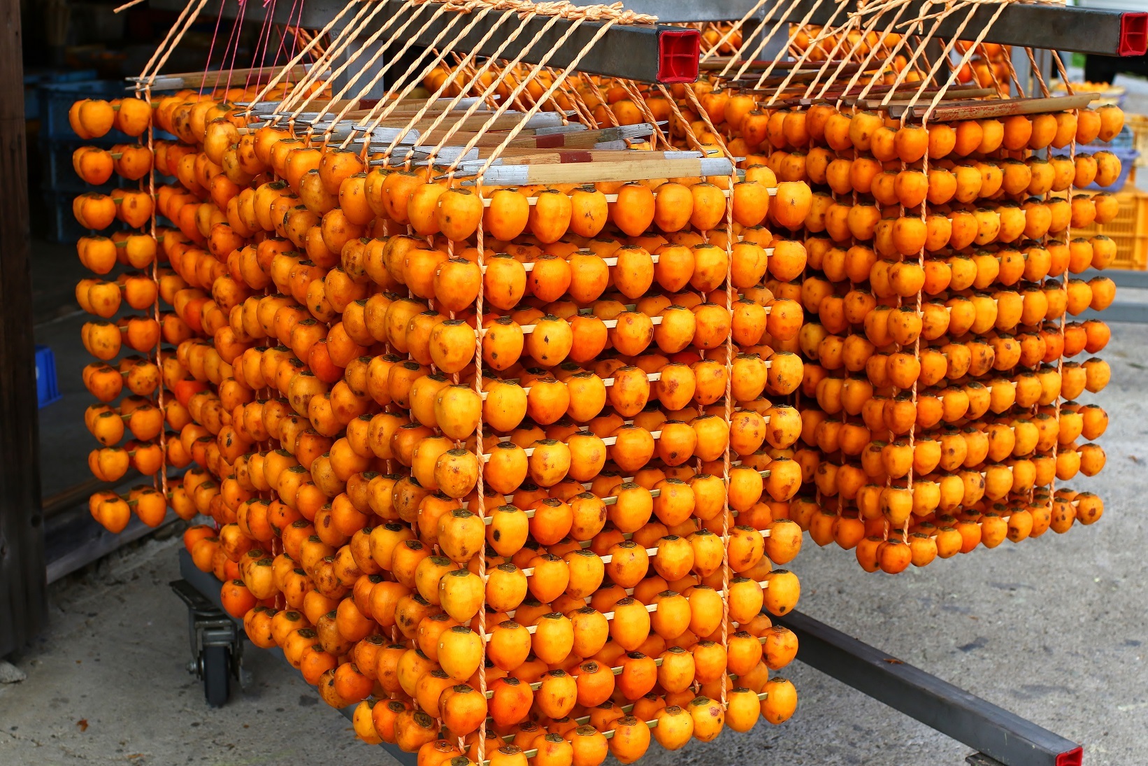 栄養たっぷり 美味しい干し柿の作り方とカビを防ぐ保存方法とは？切るを楽しむアルスコーポレーション株式会社