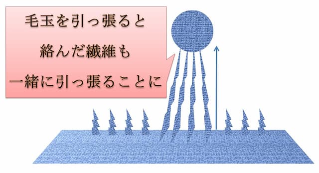 金玉（睾丸）の脱毛範囲とは？脱毛のメリットやデメリット・費用を解説！