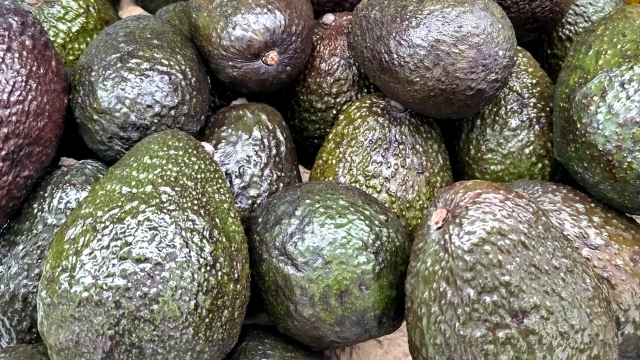 食べ比べ部 アボカド６種類食べ比べレポ＆美味しいアボカドの選び方！！ : marimo cafe ―可愛くて美味しいお菓子レシピ― Poweredby ライブドアブログ