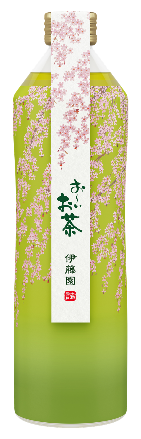 桜茶と桜緑茶の違いって何?春に飲みたい香り高い桜のお茶の選び方