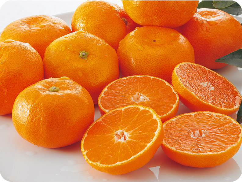 みかん - 伊藤農園のみかんな図鑑