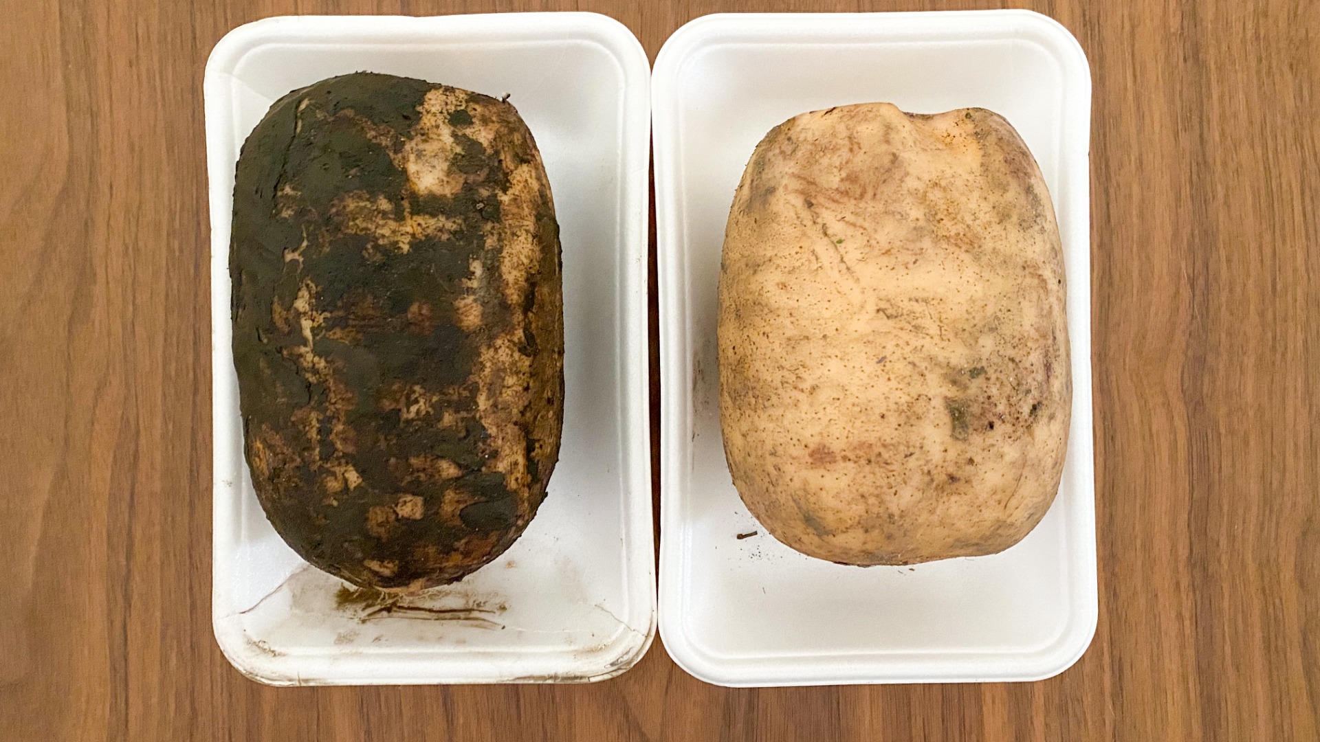 蓮根 レンコン の保存をいろいろ試します