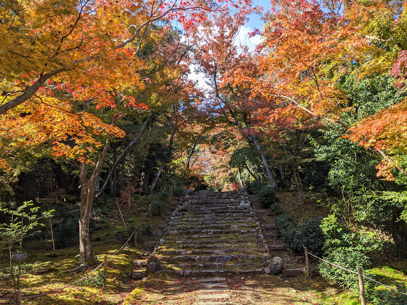 玻璃色ういろうレッスン3🌸 たたみ外郎を学びました。 「八重の香」 花びらが重なる華やかさと 桜あんの淡いピンクがういろうに映って存在感もありながら、優しさを感じる、とても美しい意匠でした🌸 たたむ時のバランスが難しく、レッスン中に何枚かたたみましたが