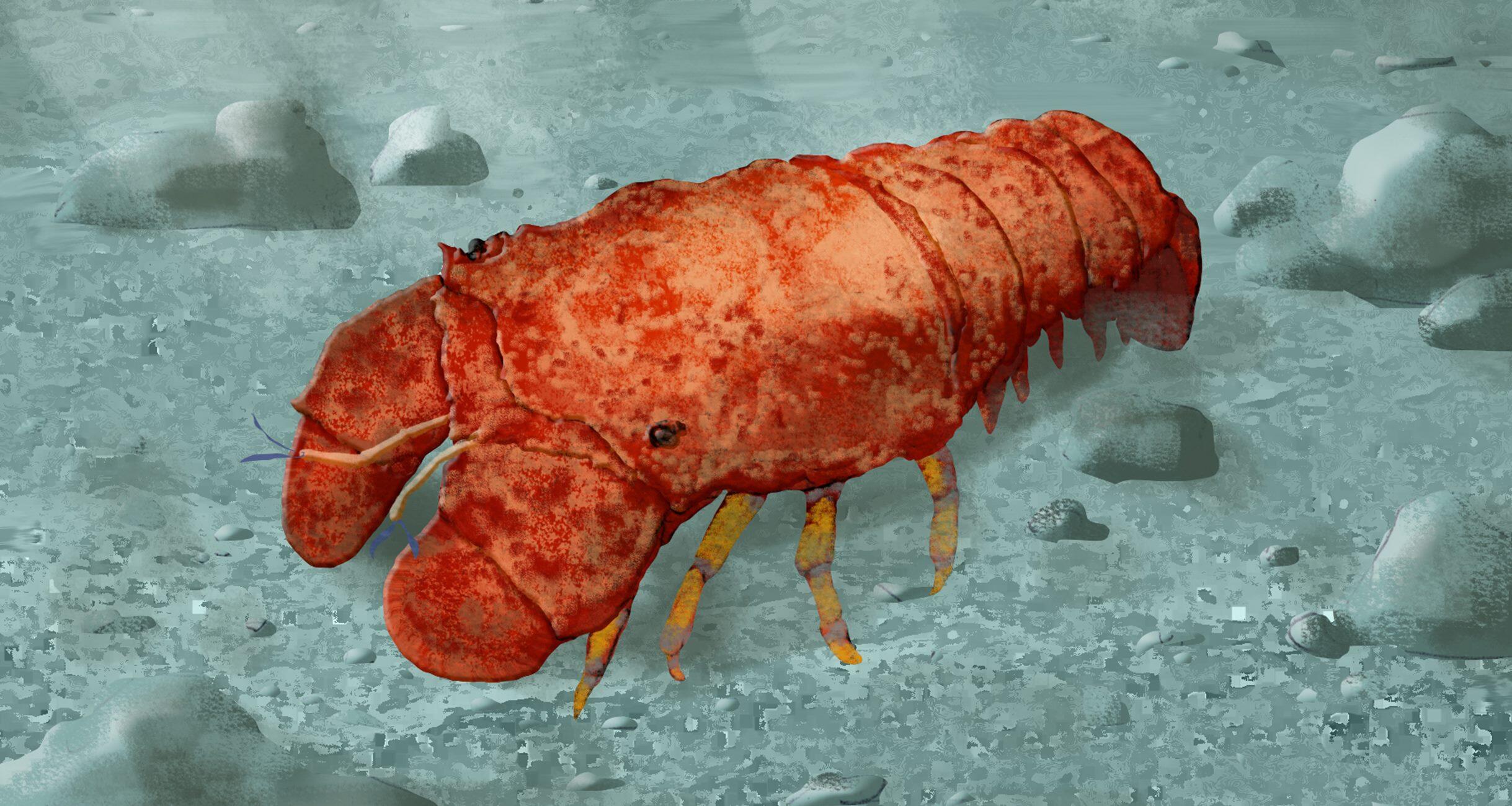 伊勢えび認定品公式三重ブランド