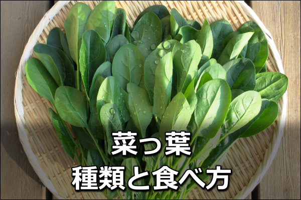 4コマ「丁寧語を使います。社会人だもの」 - どさんこ九州に住む