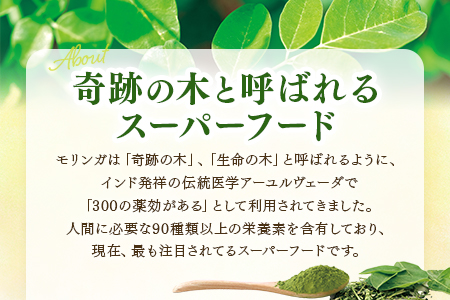 ミシャは理想の上司？ 選手の心も掌握し理想のチームづくりへ けんかは信頼の証し＜吉原宏太 次のゴールへ＞：北海道新聞デジタル