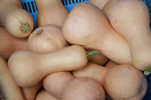 食のトリビア 食材の別名特集！！森のバターに畑のミルク。海の牧草！？逸品グルメ-IPPIN