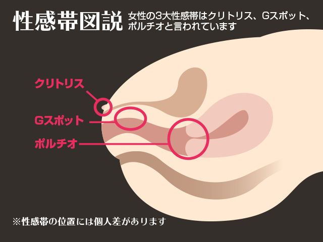 極細プレジャーアイテム「SVAKOM CICI」で膣内探検。自分の性感帯を探してみた | ランドリーボックス