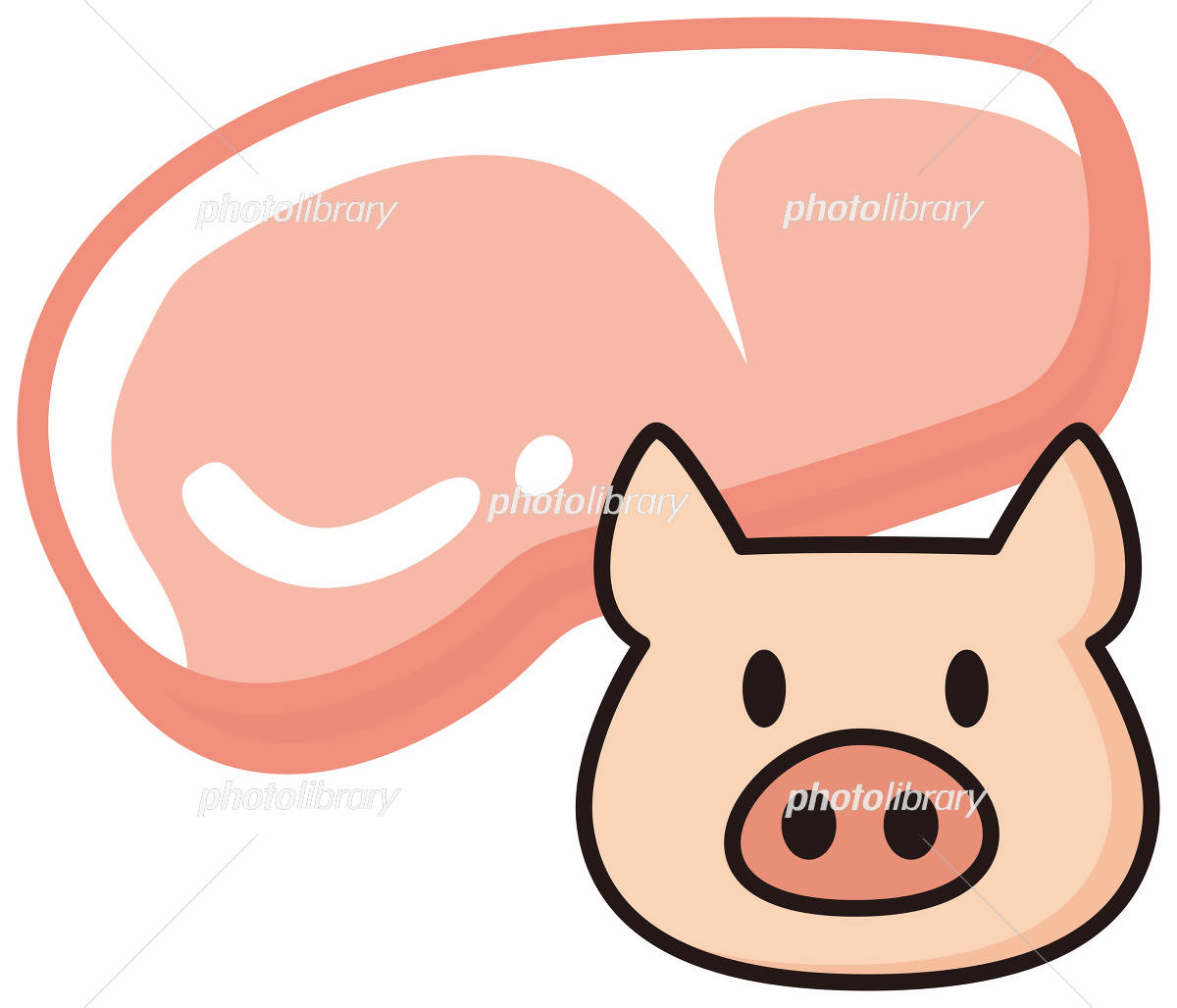 シンプルで可愛い子ブタの顔のイラスト 主線ありのイラスト素材48419383- PIXTA