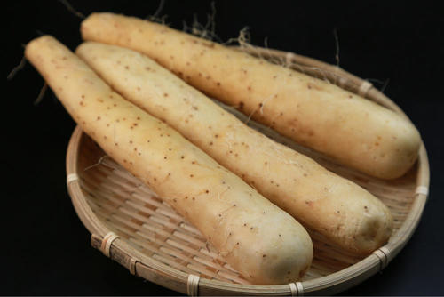 ながいもの保存方法や保存期間は？選び方やおすすめレシピ3選もご紹介！ふるなび公式ブログ ふるさと納税DISCOVERY