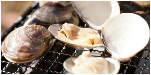 みそダレ 焼きハマグリ