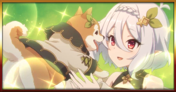 アームロールとは？用途や役割・ツインホイスト・操作方法などをわかりやすく解説トラック市