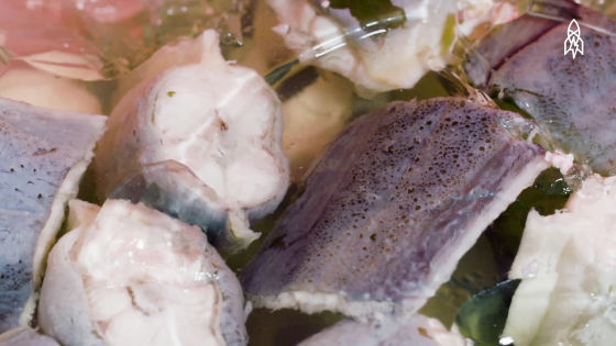 The eel jelly was too much of a shock. - YouTube