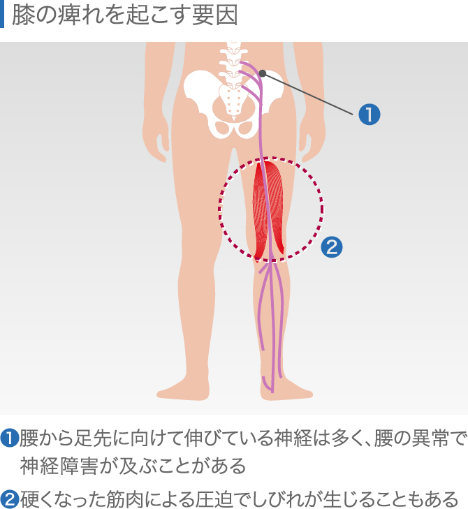 整形外科・スポーツ整形