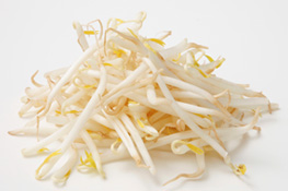 もやしの芽とヒゲ根を取ってみたらアラフィフの生き方ブログ50代を丁寧に生きる、あんさん流