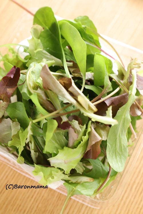 大葉、ﾍﾞﾋﾞｰﾘｰﾌなど葉物の長期保存 by hotaruクックパッド簡単おいしいみんなのレシピが392万品