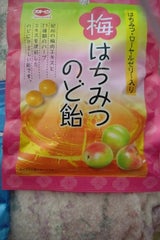 紀陽梅 梅梅干し 180g はちみつ 化粧箱入 和歌山 南高梅 ハチミツ 低塩 はちみつ梅 梅干 B10 贈り物 プレゼント ギフト :暮らしと眠りを楽しむ店 和っふる - 通販 - Yahoo!ショッピング