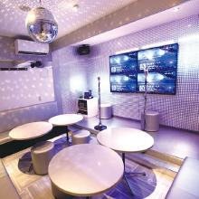 全11色＞推し色ルームカラオケ ビッグエコ