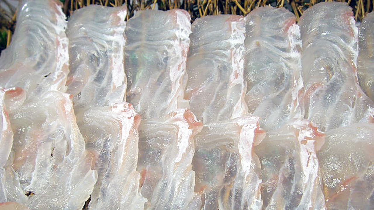 刺身包丁の使い方完全ガイド：美味しい魚を切るコツとポイント - 包丁ラボ 堺實光