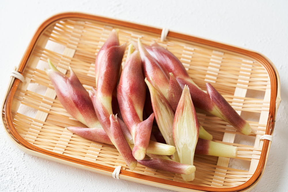 みょうがの栄養と効果・効能とは?美味しい食べ方&保存方法のコツ楽しむ・学ぶ養命酒製造株式会社