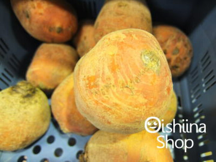 ゴールデンビーツ 無農薬農家 直送：2kg ＋オリジナルレシピブックKimidori farm&kitchen