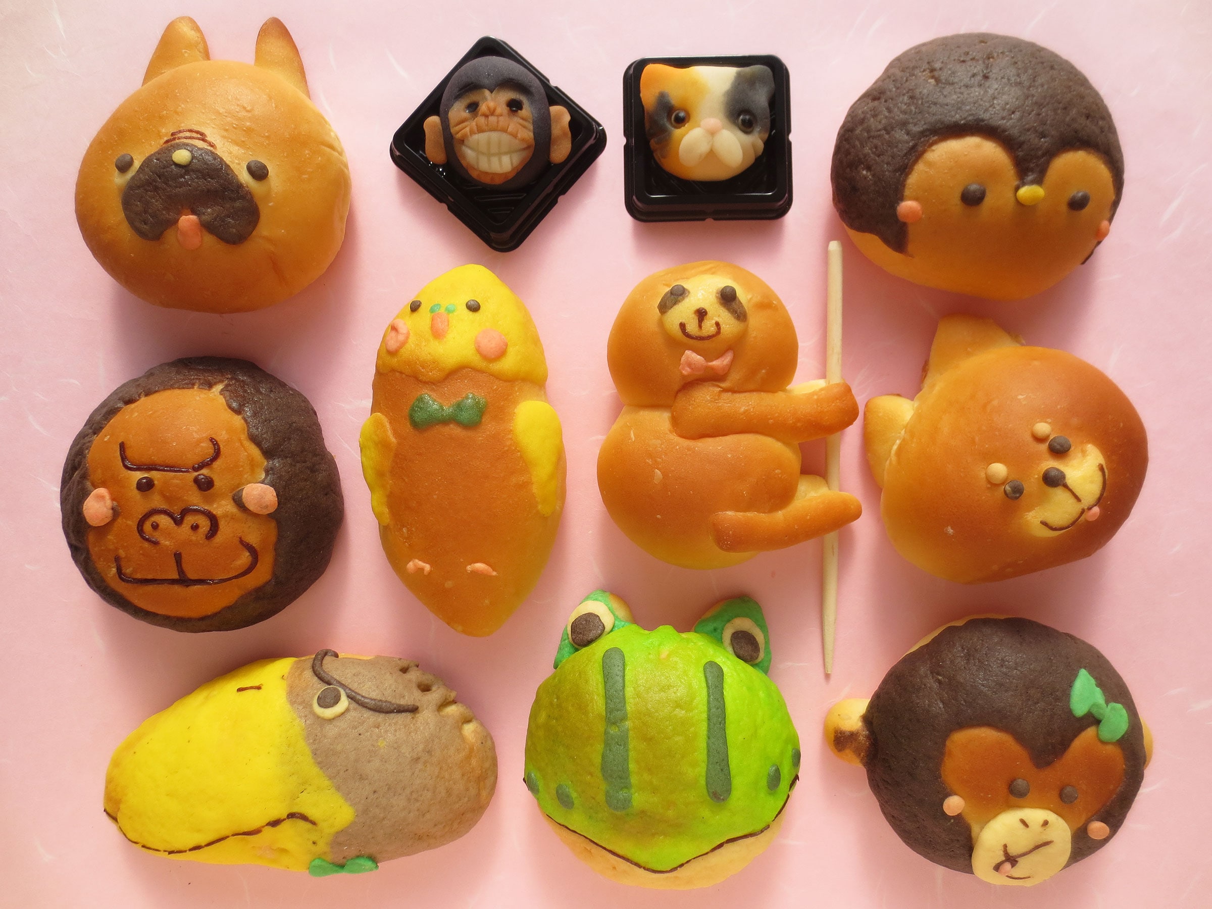 連れて帰りたい♡かわいい動物パン 福知山市・木津川市・京都市- KYOTO SIDE キョウトサイド