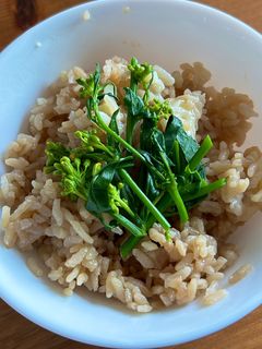 炊き込みご飯 具なし 麺つゆTikTok