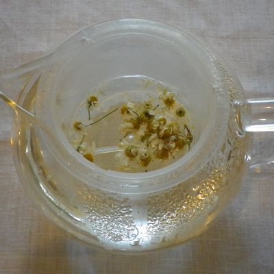 ハーブティー 咲いている花を有効活用！自家製カモミールティーの作り方 - アタマの中は花畑