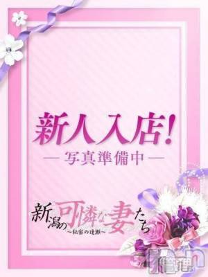 新潟の可憐な妻たち～秘密の逢瀬～(ニイガタノカレンナツマタチ～ヒミツノオウセ～) - 新潟/人妻デリヘル｜新潟ナイトナビ[風俗]