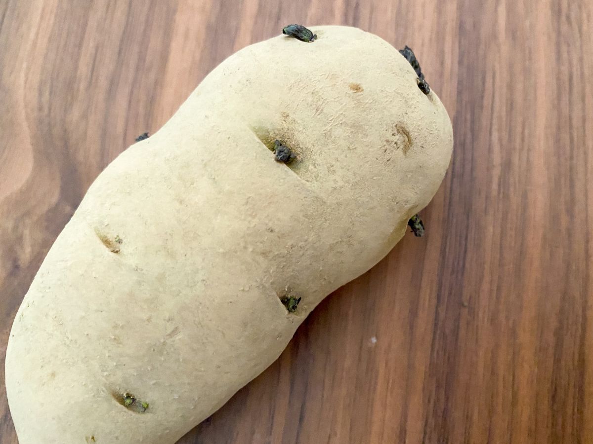 ジャガイモの芽かきの方法とポイント