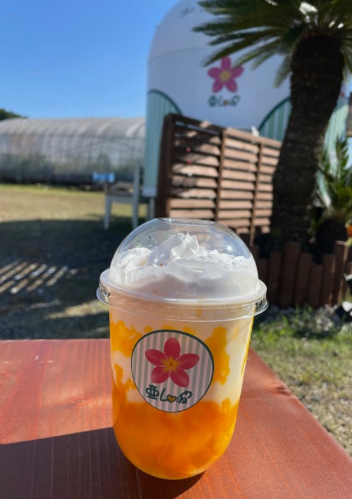 倉敷中庄『花かまくら』タピオカより流行ってるわらび餅ドリンクと苺大福