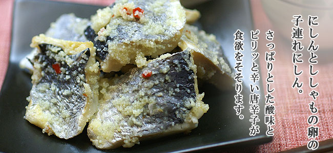 ニシンの群来が来た！小樽市