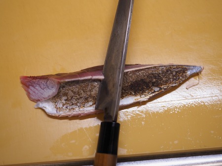 スマガツオ ヤイトガツオ の炙り刺し身 - 魚料理と簡単レシピ